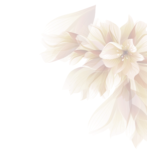 Beauty Bar Family Salon