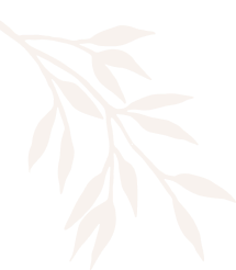 Beauty Bar Family Salon