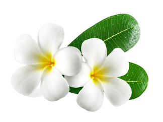 Beauty Bar Family Salon