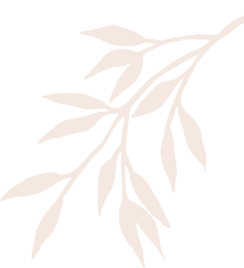 Beauty Bar Family Salon