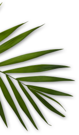 Beauty Bar Family Salon